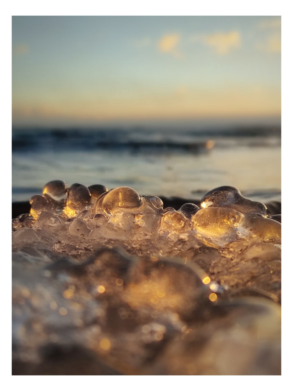 "Грозди винограда" на берегу Волги "Грозди винограда" на берегу Волги