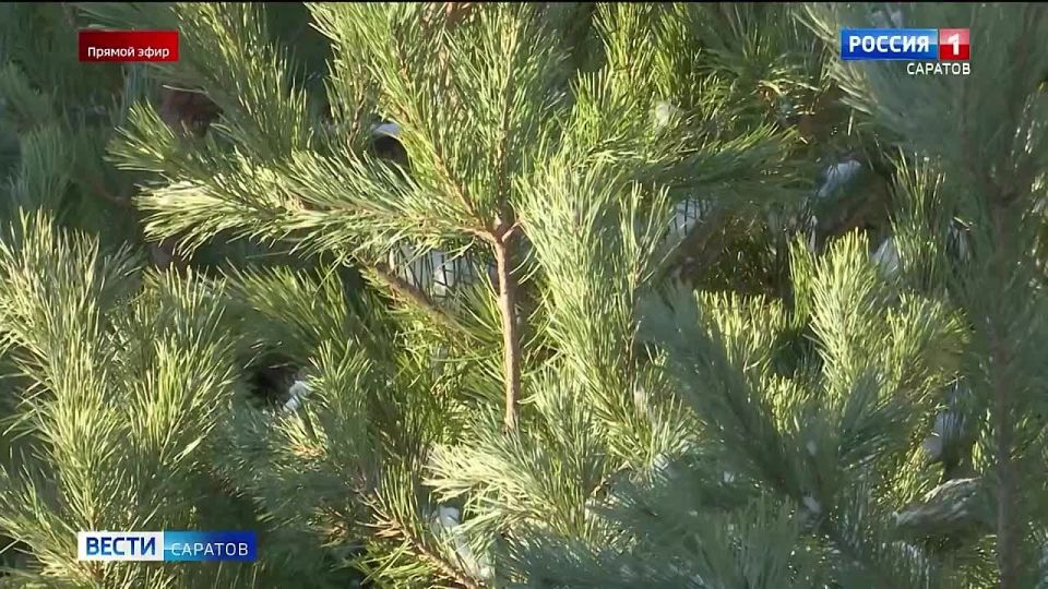 �� ����������� ������ ���� �������� ���� ����� ���� ������, � ������ ������ ����� �������� ����