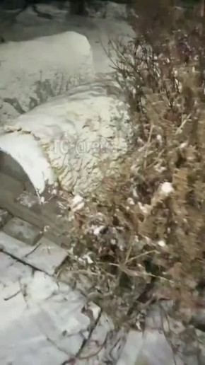 ����� ���������� �� "�� ������" � � ����� ������ ����������� ����-������� ��� ������� �����, ����� ��� ����� ��������� ������