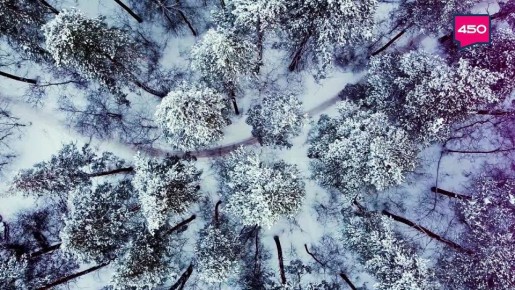 Заснеженная Самара. Любуемся вместе