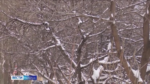 В Саратовской области завтра прогнозируют дождь со снегом и гололедицу