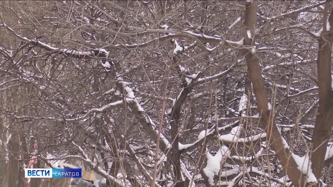 В Саратовской области завтра прогнозируют дождь со снегом и гололедицу