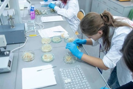 � ����������� ������� ����������� ������� 15 ������������������� �������