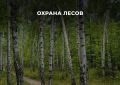 Роман Бусаргин: Заседание Правительства. Охрана лесов