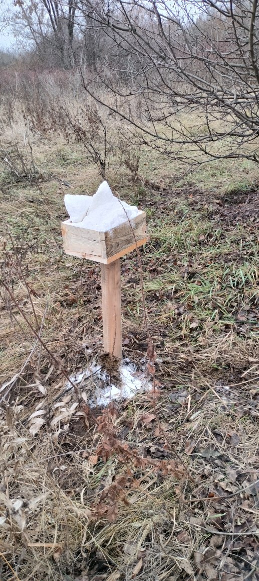 В общедоступных охотугодьях Саратовской области установлены кормушки и солонцы В общедоступных охотугодьях Саратовской области установлены кормушки и солонцы