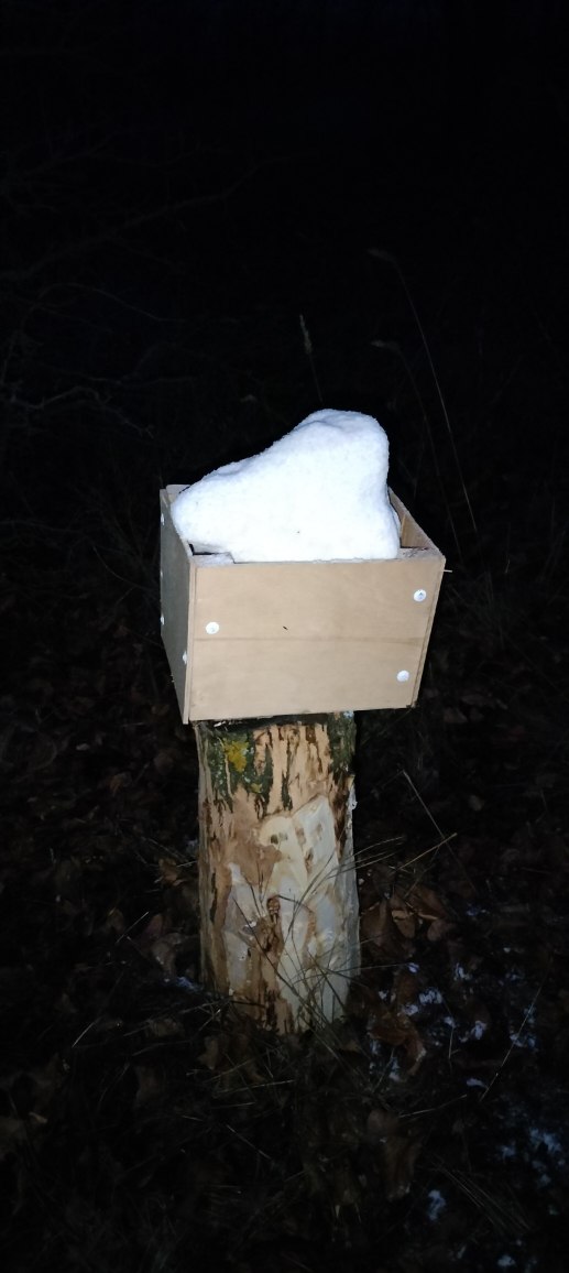 В общедоступных охотугодьях Саратовской области установлены кормушки и солонцы