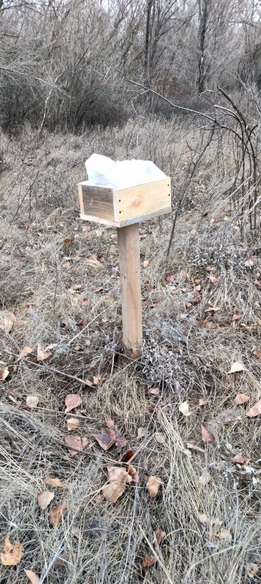 В общедоступных охотугодьях Саратовской области установлены кормушки и солонцы В общедоступных охотугодьях Саратовской области установлены кормушки и солонцы