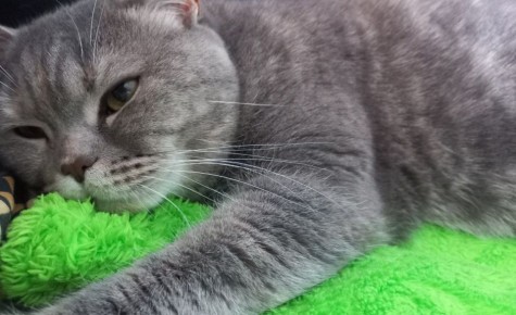 Сегодня - 18 декабря, четверг