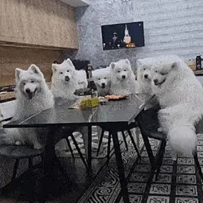 ���������� ���������� ���������� �������� � ����������� �����