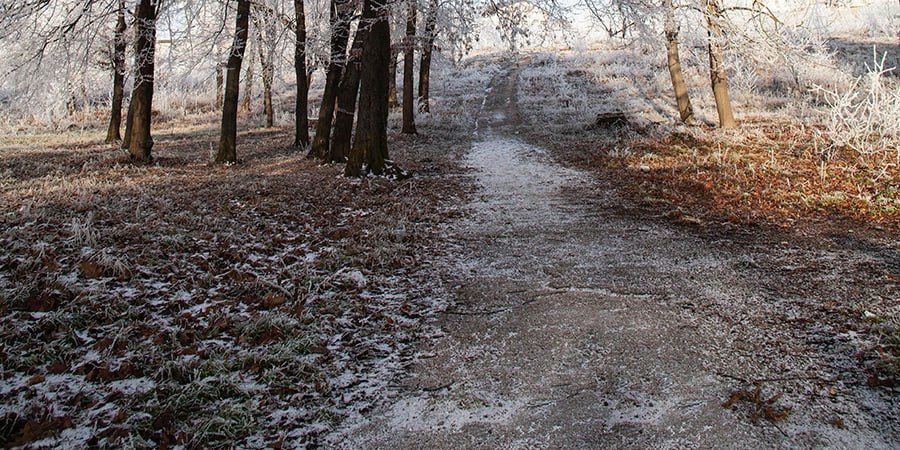 ������� �������� ������� ��������, ������� � �����