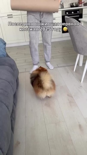 � ��� ���� ������� ������� �� �����?)