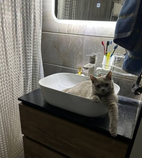 ������� 20 ������� - �������