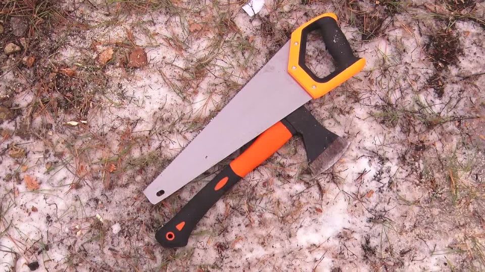 В преддверии празднования Нового года увеличивается риск незаконных вырубок хвойных деревьев, что наносит значительный ущерб окружающей среде