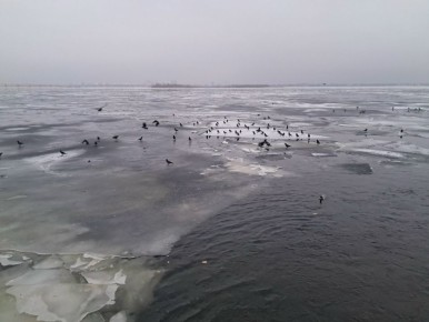 Под Саратовом спасли рыбака, провалившегося под лед