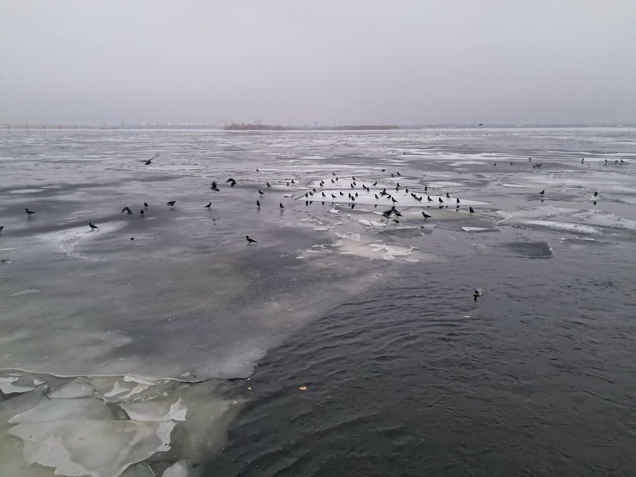 Под Саратовом спасли рыбака, провалившегося под лед