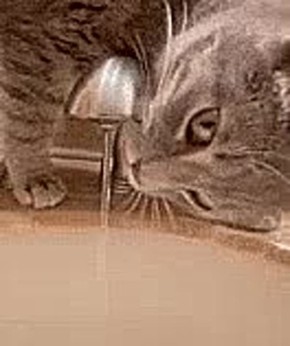 ��������� � ����������� �������� ��� ����