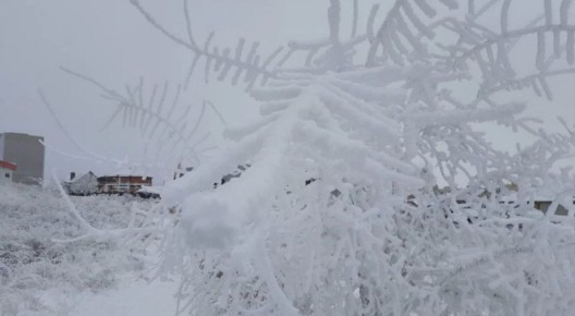 ������� � ����������� ������� � ����� ����: