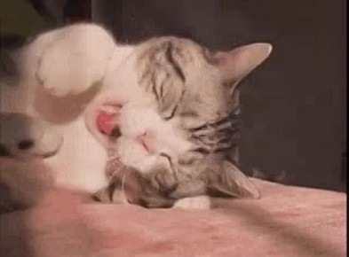 ������ ����!. ��� �������� ���� ��������? ������ � �������� ������? �� -