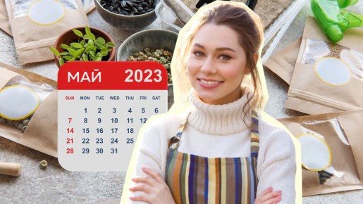 ��� ����� ����� ���������� � ������ �����: ����������� ��������� ���� ����