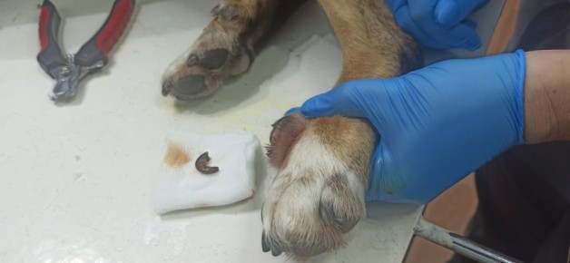 ����������� ���������� ������� ������ � "������������ ��������"