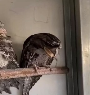 � ������ �������������!