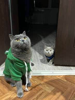 Сегодня - 22 декабря, понедельник