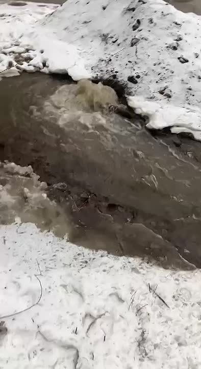 ����� ���� ������� � ��������