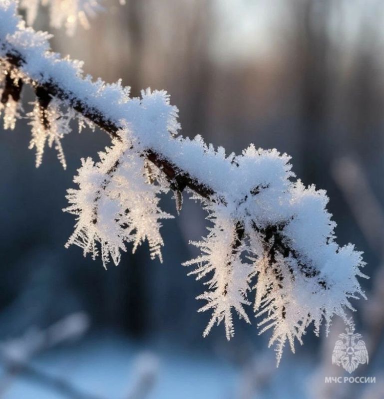ВНИМАНИЕ! Низкие температуры!