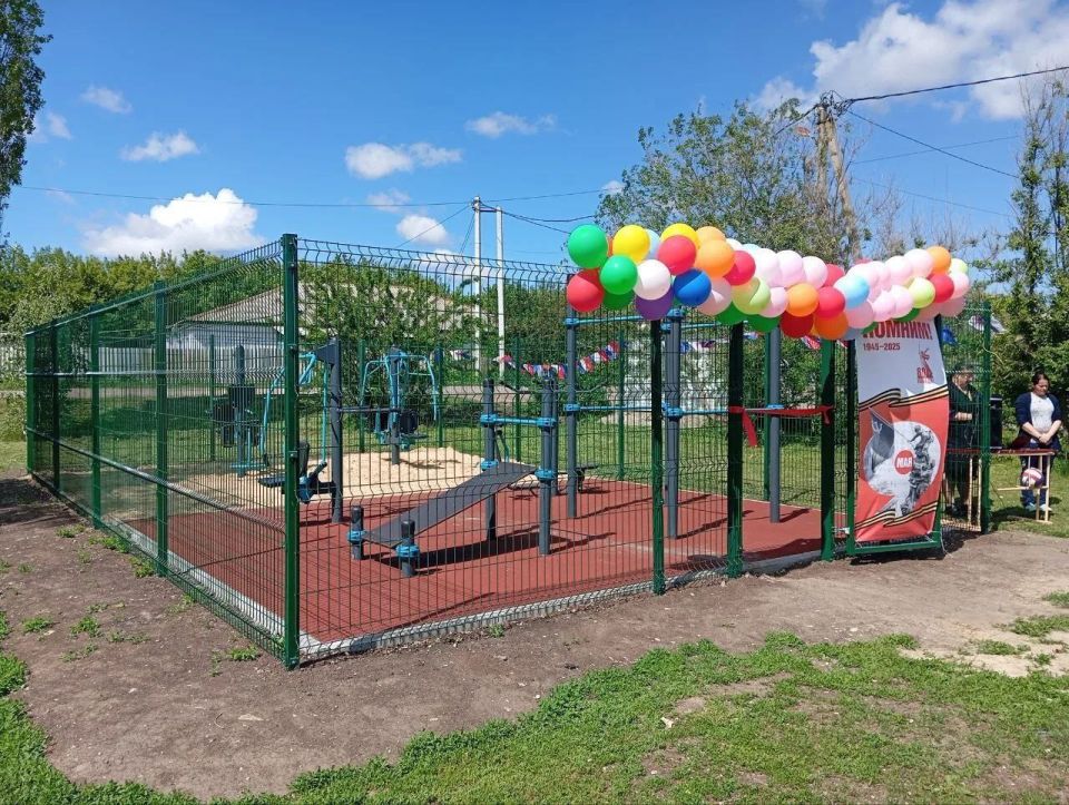 В 2025 году в рамках госпрограммы комплексного развития села благоустроены спортивные площадки в пяти районах области