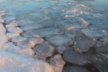 "���������" ��� �������� ��������� � ������ �����