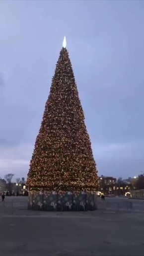 Главная новогодняя елка на Театральной площади торжественно засияла
