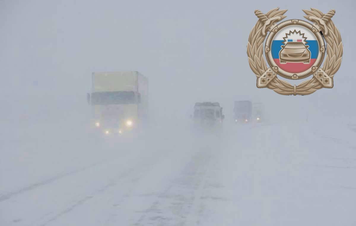 Метель надвигается на Саратовскую область