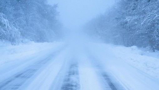 ������: ����������� ��������� ������ ���� �����������