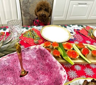 �������� ������� ������� ����� ����������� �����