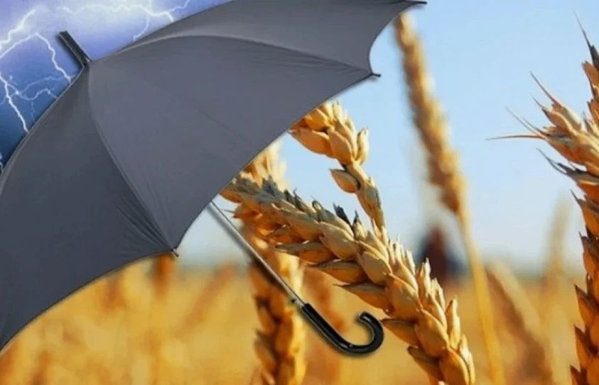 ����������� ������� � ����� ������ �� �������� ���������������