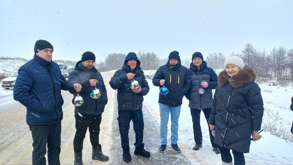 Горожане украсили одинокую сосну на "самой новогодней дороге"