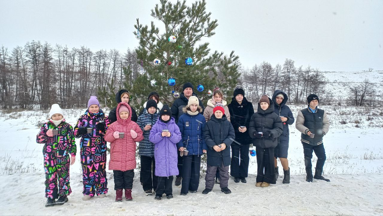 Горожане украсили одинокую сосну на "самой новогодней дороге" Горожане украсили одинокую сосну на "самой новогодней дороге"