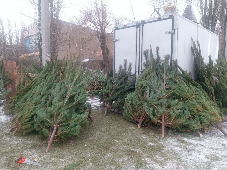 ���� �� ��������� ������ ������������������� �������� �������� ���������