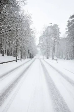По данным Гидрометцентра 29.12.2025 на территории Саратовской области облачная погода, с прояснениями