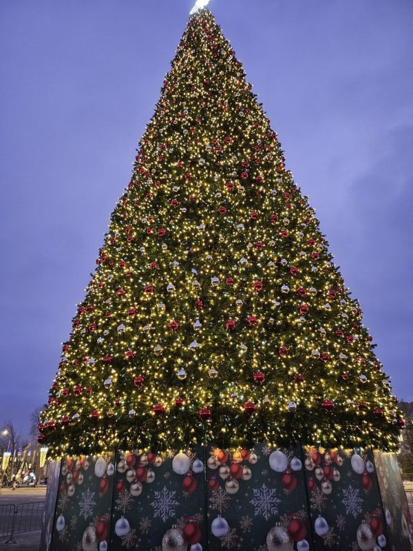 ������� - 28 �������, �����������