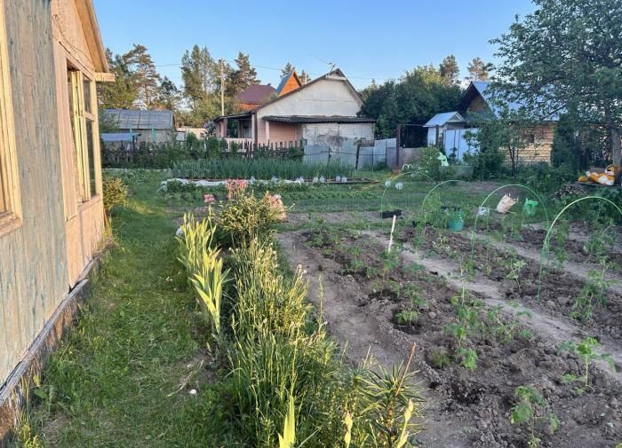 �������: ������ ������ �������� �� ����������