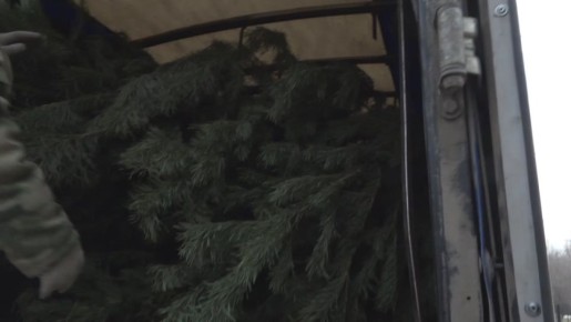 ��������� ���������� ������� ���� ��� �� ������� ���������