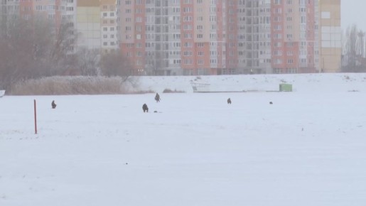 � �������� �� ����������� ������ �� ��� ���������� 4 ���������