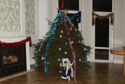 ������������ ����: ��� ����������� ��������� ����� ������ �����