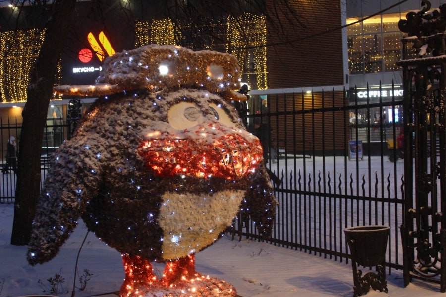Зимняя сказка. Саратов нарядился снегом и новогодними гирляндами Зимняя сказка. Саратов нарядился снегом и новогодними гирляндами