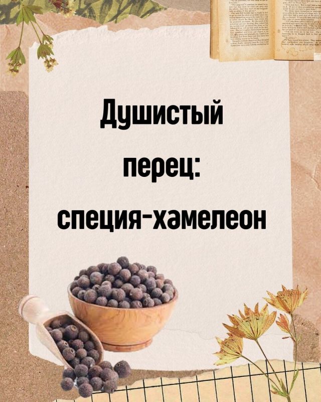 �������� �����: ���������� ������, ������� ���������� ���� �����