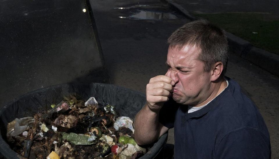 ���������� ������ ����� ����� ����� ����� ����������� �������