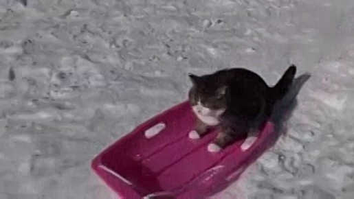 Как избежать травм в новогодние праздники?