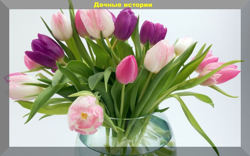 ������� ������������� ���������: ��� ��������� �� �������� ������