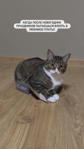 Новый год, он такой). Видео соцсети